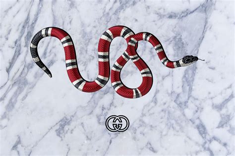 gucci wallpaper snake